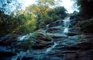 Kiliyuri Falls, Shevaroy hills, southern India